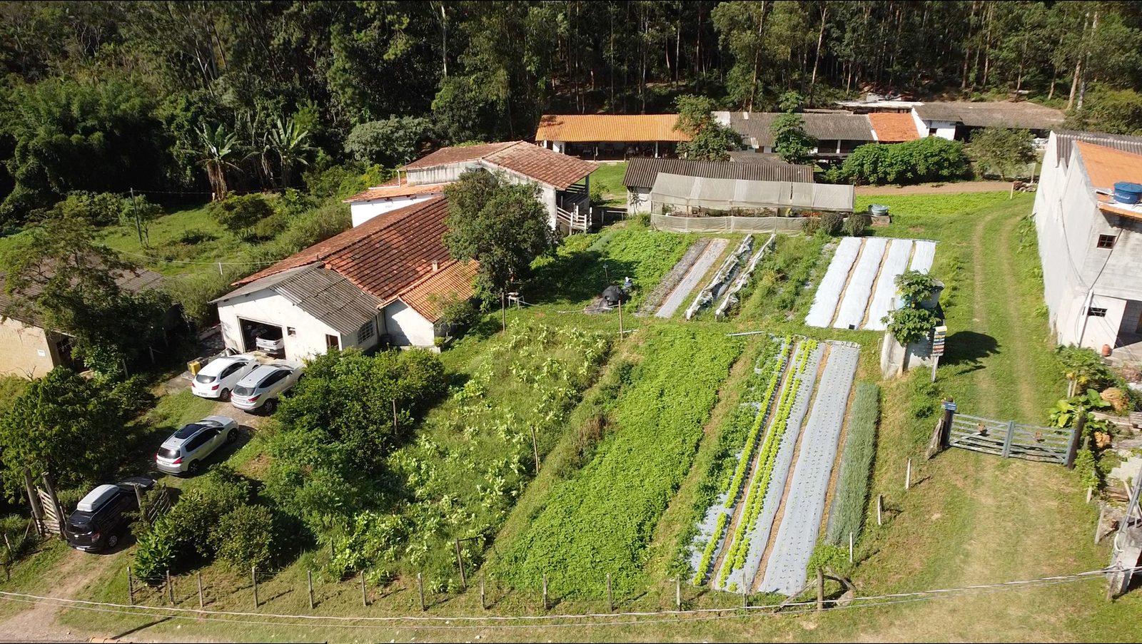 Convivência rural