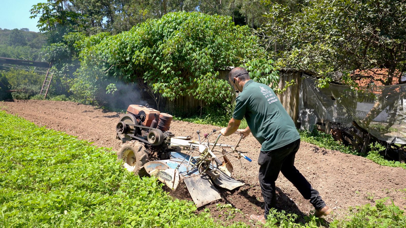 Horta e agricultura