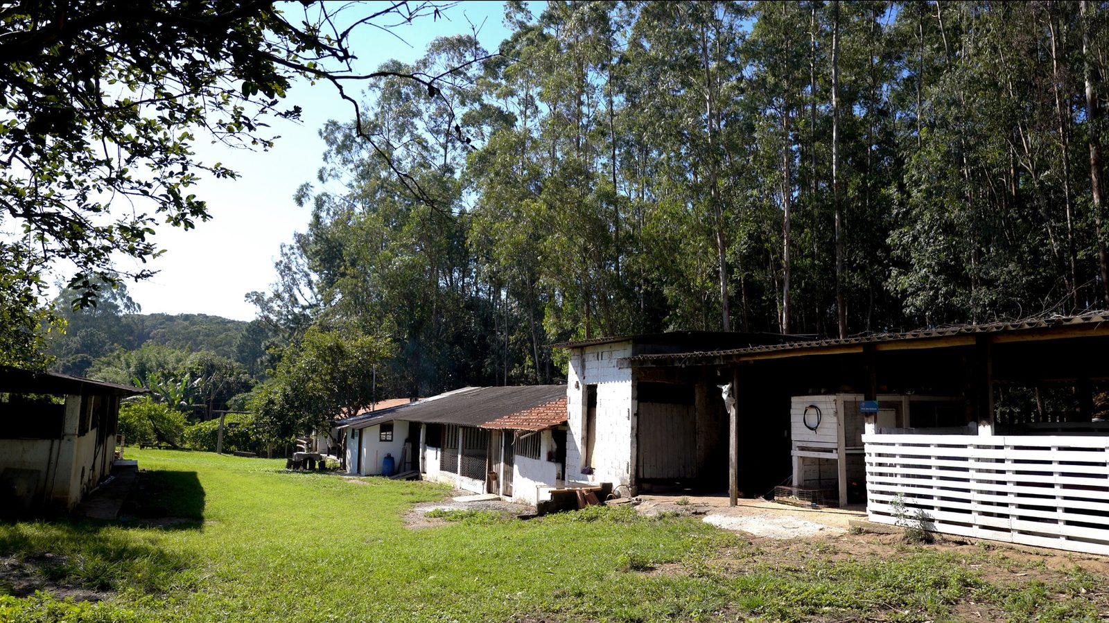 Área aberta do sítio